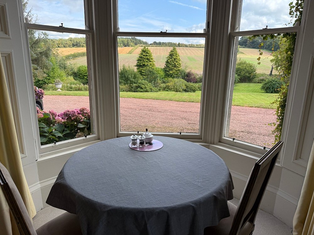 View through bay window